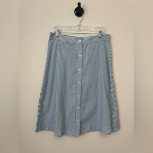 Blue and White Striped A-Line Skirt